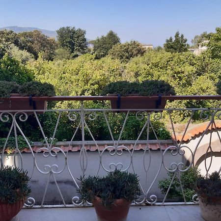 La Casa Di Rosa - Casa Vacanze Meta Kültér fotó