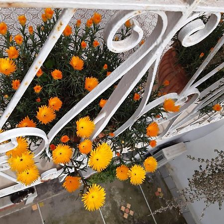 La Casa Di Rosa - Casa Vacanze Meta Kültér fotó