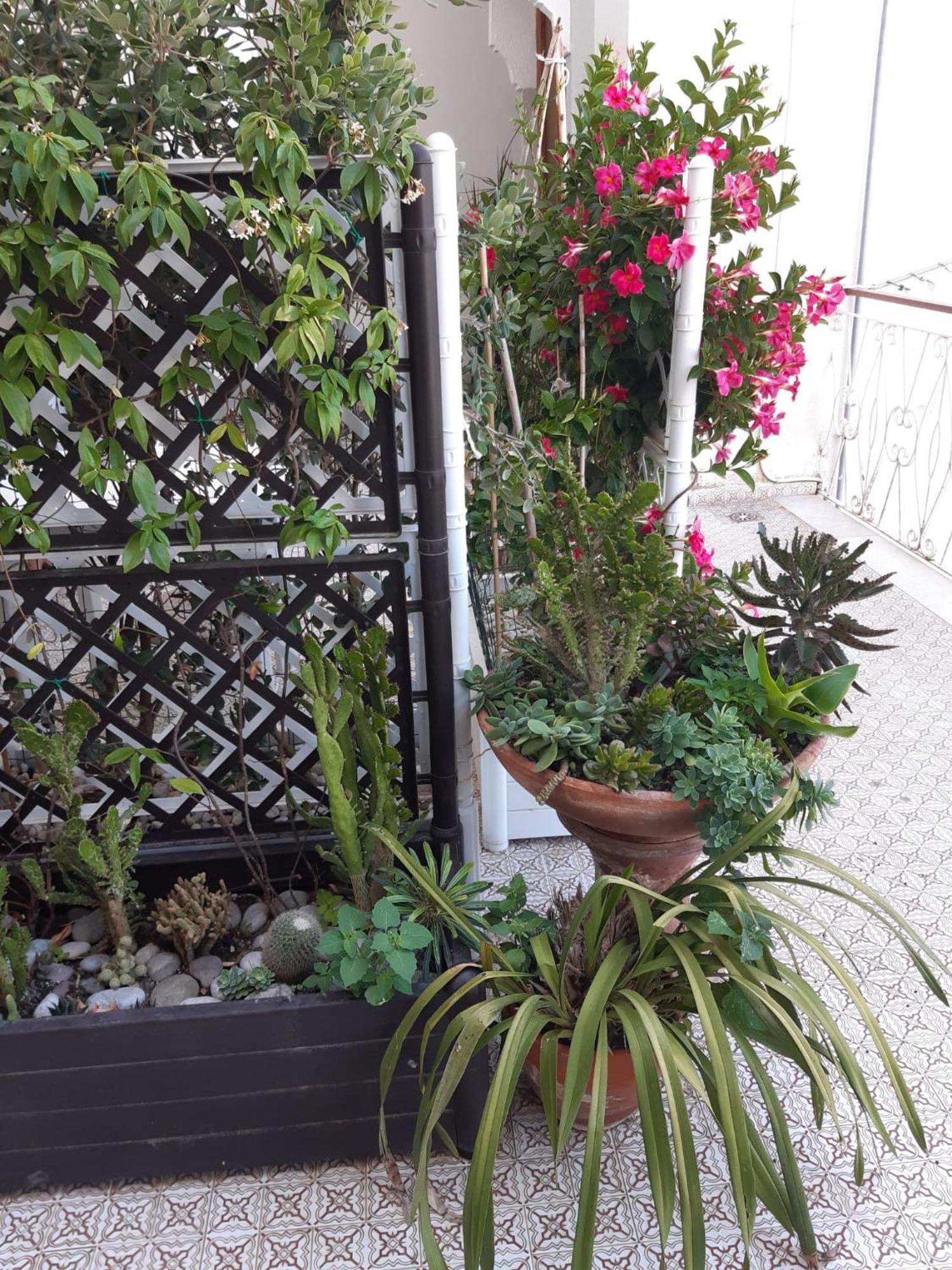 La Casa Di Rosa - Casa Vacanze Meta Kültér fotó